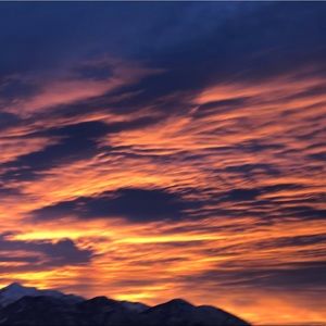 Meet your Posher, Brittney